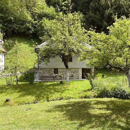 Farmstead Green Haven 모이코바츠 외부 사진